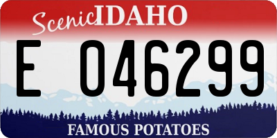 ID license plate E046299