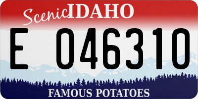 ID license plate E046310