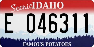 ID license plate E046311