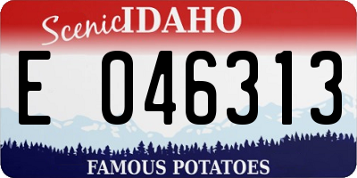 ID license plate E046313