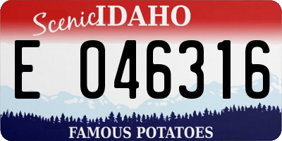 ID license plate E046316