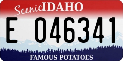 ID license plate E046341