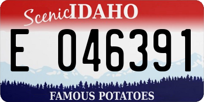ID license plate E046391