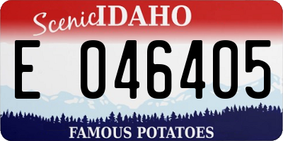 ID license plate E046405