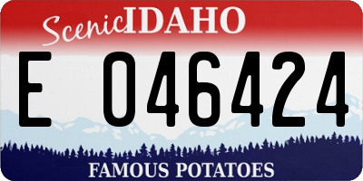 ID license plate E046424