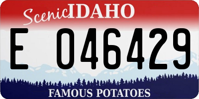 ID license plate E046429