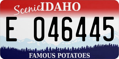 ID license plate E046445