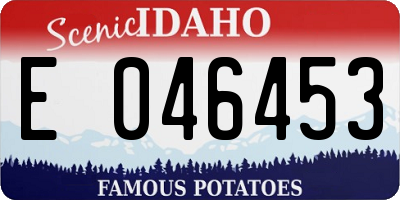 ID license plate E046453