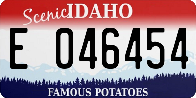 ID license plate E046454