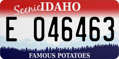 ID license plate E046463