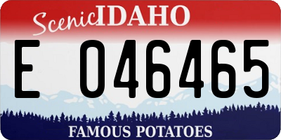 ID license plate E046465