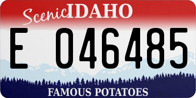 ID license plate E046485