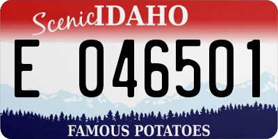 ID license plate E046501