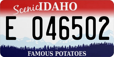 ID license plate E046502