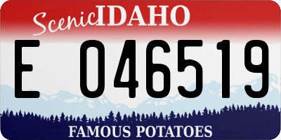 ID license plate E046519