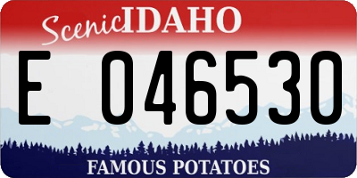 ID license plate E046530