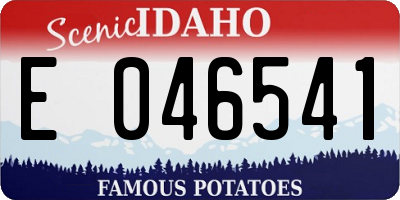 ID license plate E046541