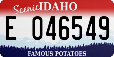ID license plate E046549
