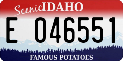 ID license plate E046551