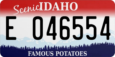 ID license plate E046554