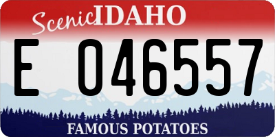 ID license plate E046557
