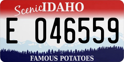 ID license plate E046559