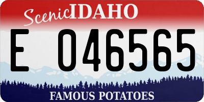 ID license plate E046565