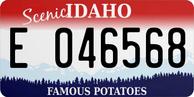 ID license plate E046568
