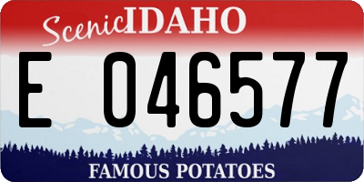 ID license plate E046577