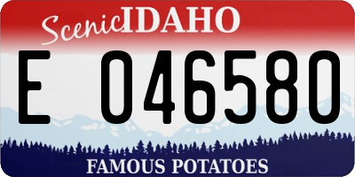 ID license plate E046580