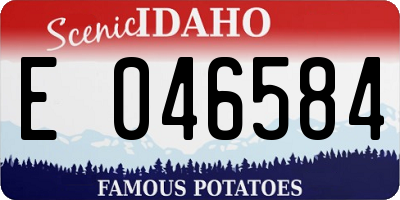 ID license plate E046584