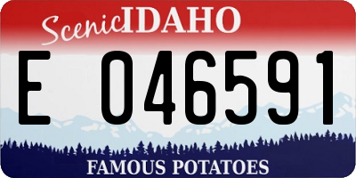 ID license plate E046591