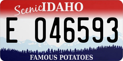 ID license plate E046593