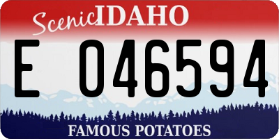 ID license plate E046594