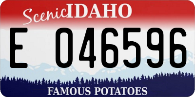 ID license plate E046596