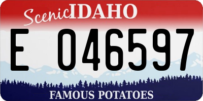ID license plate E046597
