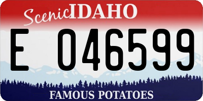 ID license plate E046599