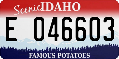 ID license plate E046603
