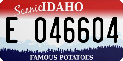 ID license plate E046604