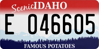 ID license plate E046605