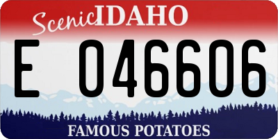 ID license plate E046606