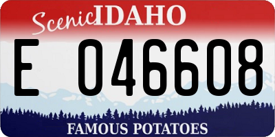 ID license plate E046608