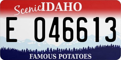 ID license plate E046613