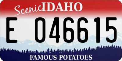 ID license plate E046615