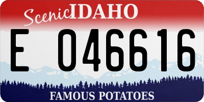 ID license plate E046616