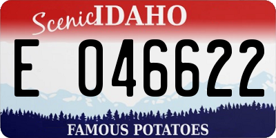 ID license plate E046622