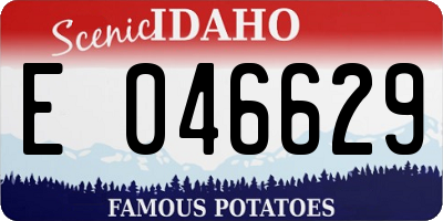 ID license plate E046629