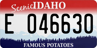 ID license plate E046630