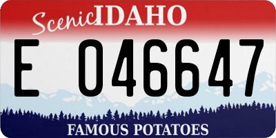 ID license plate E046647