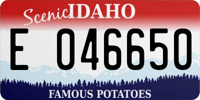 ID license plate E046650